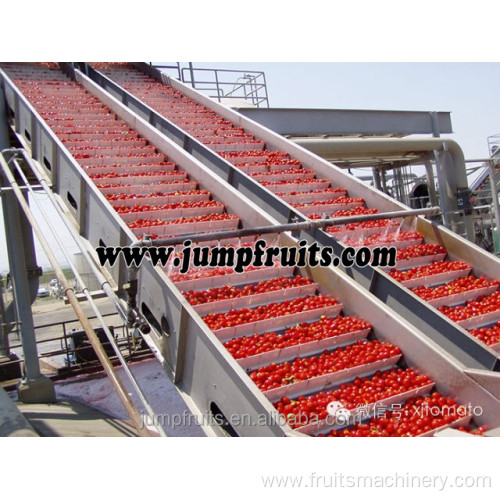 Tomato chilli paste ketchup sauce production